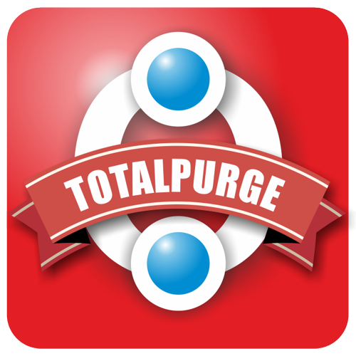 TotalPurge is the AutoCAD application for complex drawing optimization
